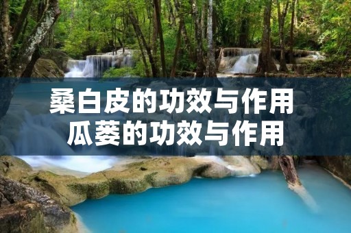 桑白皮的功效与作用 瓜蒌的功效与作用