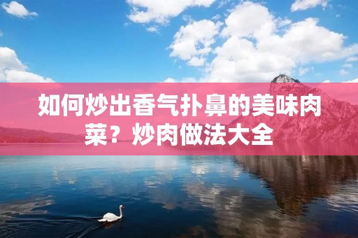 如何炒出香气扑鼻的美味肉菜?炒肉做法大全 如何炒出香气扑鼻的美味肉菜?炒肉做法大全
