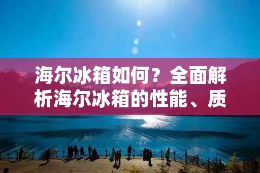 海尔冰箱如何？全面解析海尔冰箱的性能、质量和服务