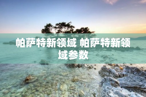 帕萨特新领域 帕萨特新领域参数 帕萨特新领域 帕萨特新领域参数