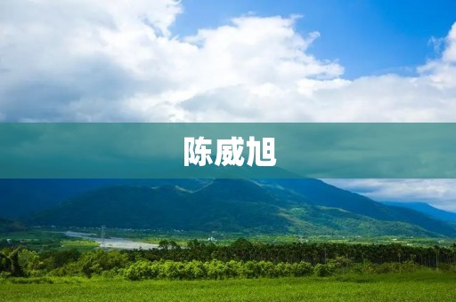 陈威旭：中国电竞行业的领军人物