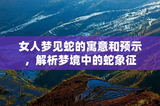 女人梦见蛇的寓意和预示,解析梦境中的蛇象征