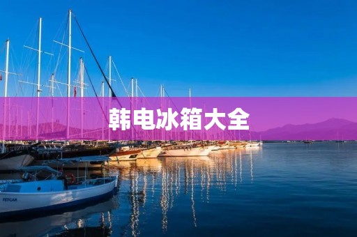 韩电冰箱大全:品质与颜值兼备的冰箱推荐