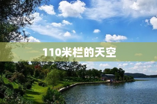 110米栏的天空:一场跨越人类极限的竞技盛宴 110米栏的天空:一场跨越人类极限的竞技盛宴