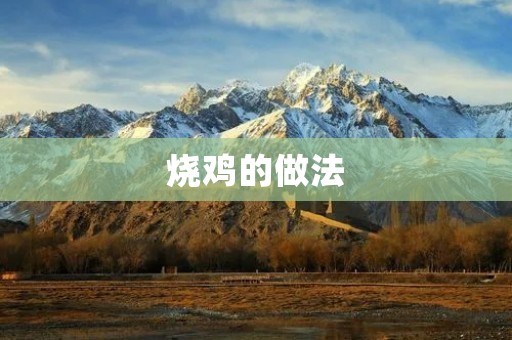 烧鸡的做法