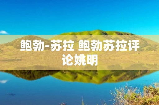 鲍勃-苏拉 鲍勃苏拉评论姚明