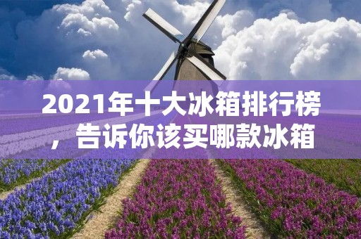 2021年十大冰箱排行榜,告诉你该买哪款冰箱? 2021年十大冰箱排行榜,告诉你该买哪款冰箱?