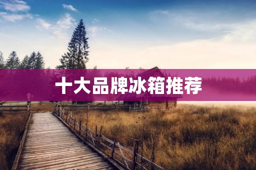 十大品牌冰箱推荐:值得购买的品牌排名 十大品牌冰箱推荐:值得购买的品牌排名