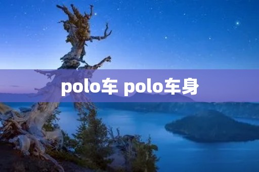 polo车 polo车身