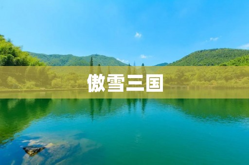 傲雪三国：一款颠覆传统的三国题材游戏