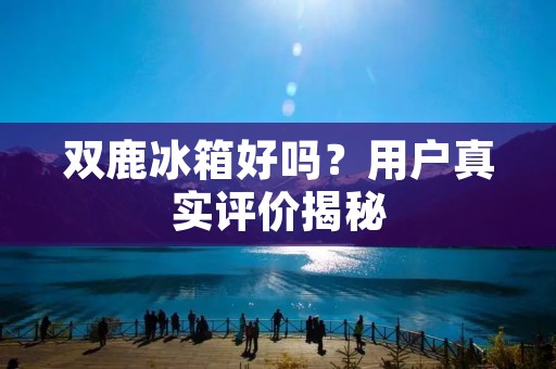 双鹿冰箱好吗？用户真实评价揭秘