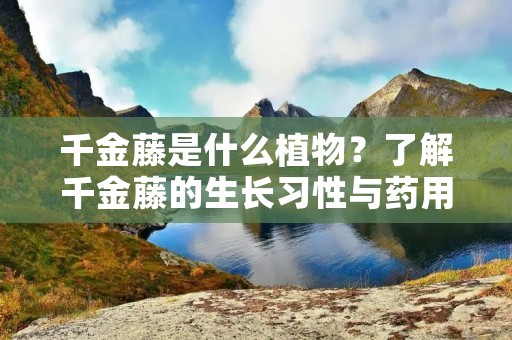 千金藤是什么植物?了解千金藤的生长习性与药用价值