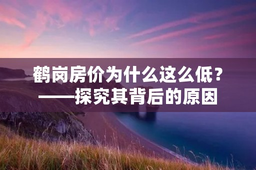 鹤岗房价为什么这么低?——探究其背后的原因