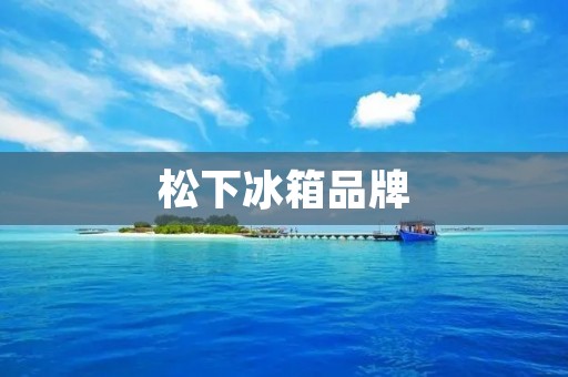 松下冰箱品牌：优质品质与智能科技的完美结合