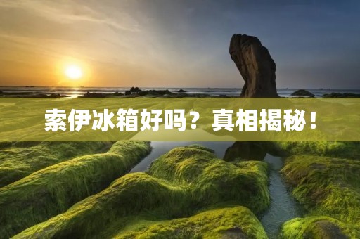 索伊冰箱好吗？真相揭秘！