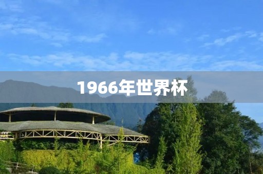 1966年世界杯：英格兰的荣耀时刻