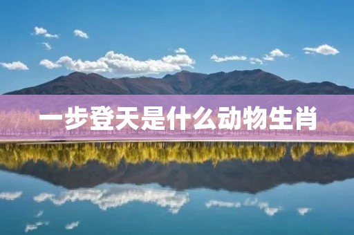 一步登天是什么动物生肖