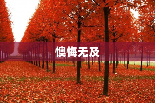 懊悔无及：当我们错过了什么