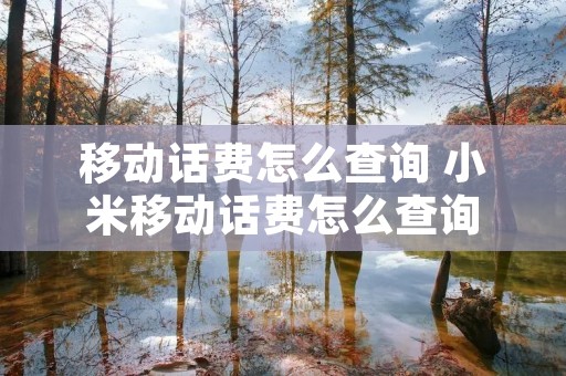 移动话费怎么查询 小米移动话费怎么查询