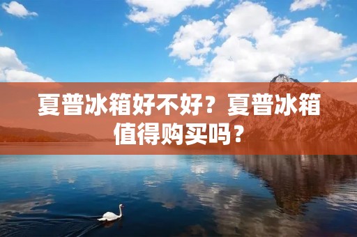 夏普冰箱好不好？夏普冰箱值得购买吗？