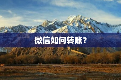 微信如何转账? 微信如何转账?