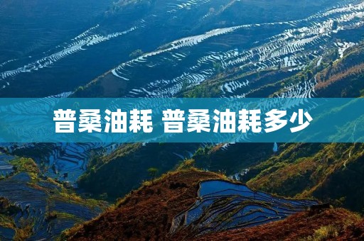 普桑油耗 普桑油耗多少