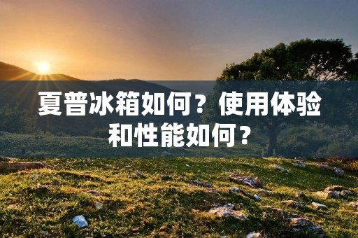 夏普冰箱如何？使用体验和性能如何？