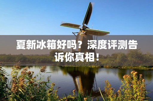 夏新冰箱好吗?深度评测告诉你真相! 夏新冰箱好吗?深度评测告诉你真相!