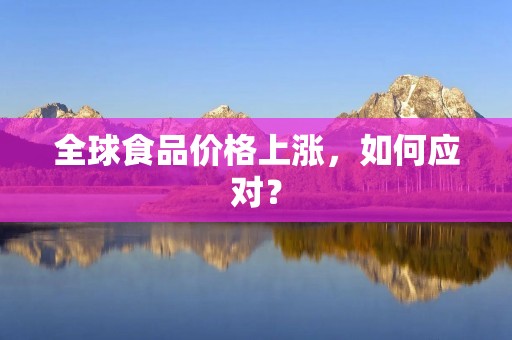 全球食品价格上涨,如何应对? 全球食品价格上涨,如何应对?