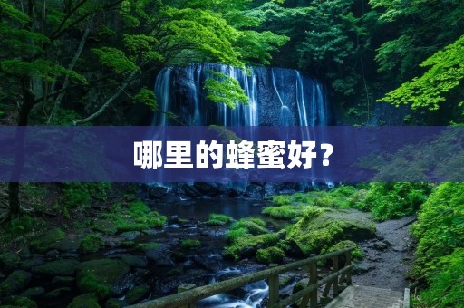 哪里的蜂蜜好？