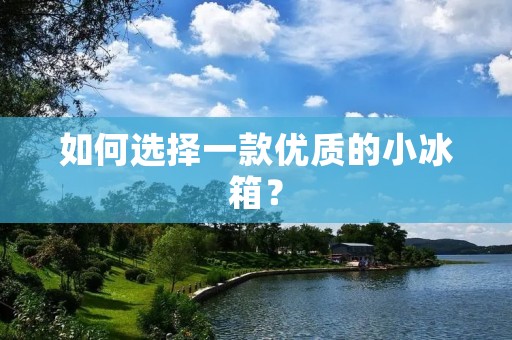 如何选择一款优质的小冰箱？