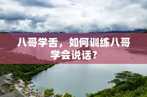 八哥学舌，如何训练八哥学会说话？
