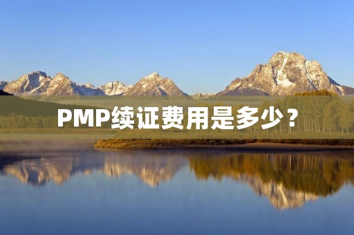 PMP续证费用是多少?