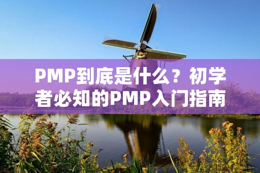 PMP到底是什么?初学者必知的PMP入门指南