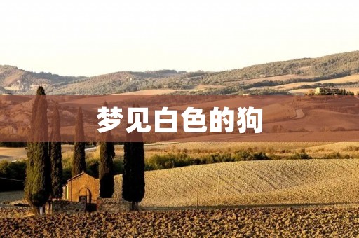梦见白色的狗：解梦与象征意义
