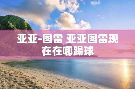 亚亚-图雷 亚亚图雷现在在哪踢球 亚亚-图雷 亚亚图雷现在在哪踢球