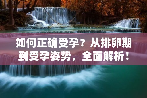 如何正确受孕?从排卵期到受孕姿势,全面解析! 如何正确受孕?从排卵期到受孕姿势,全面解析!