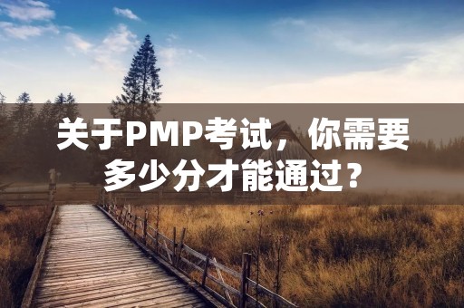 关于PMP考试,你需要多少分才能通过?