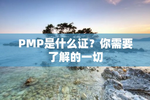 PMP是什么证?你需要了解的一切