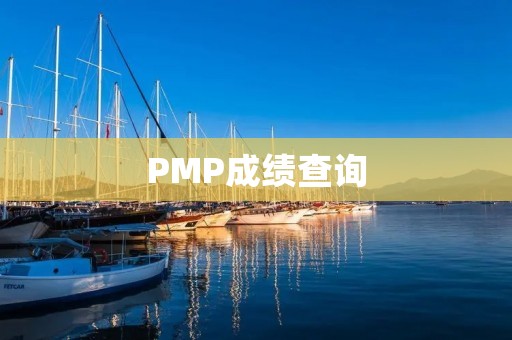 PMP成绩查询:如何快速查询PMP考试成绩?