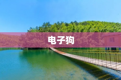 电子狗：让驾驶更安全的必备神器