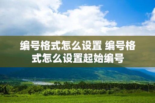 编号格式怎么设置 编号格式怎么设置起始编号