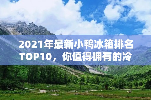 2021年最新小鸭冰箱排名TOP10,你值得拥有的冷藏神器! 2021年最新小鸭冰箱排名TOP10,你值得拥有的冷藏神器!