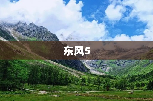 东风5：中国自主研发的重型运载火箭