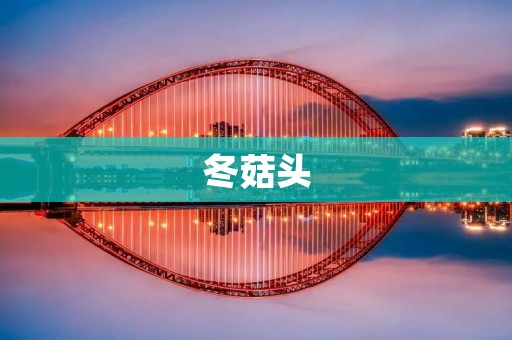 冬菇头：营养丰富的佳肴之选