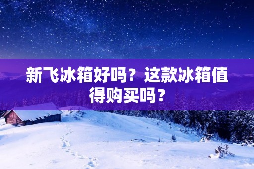 新飞冰箱好吗？这款冰箱值得购买吗？