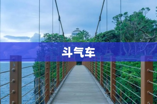 斗气车:让你成为路上的霸主 斗气车:让你成为路上的霸主