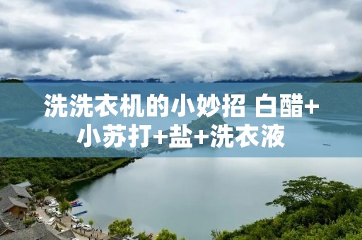 洗洗衣机的小妙招 白醋+小苏打+盐+洗衣液 洗洗衣机的小妙招 白醋+小苏打+盐+洗衣液