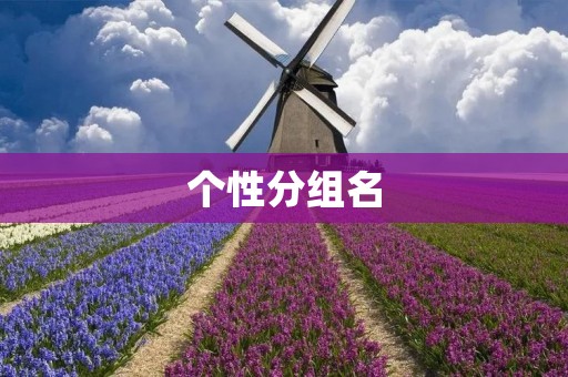 个性分组名:打造独一无二的社交圈