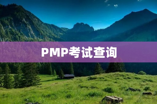 PMP考试查询:如何高效备考PMP考试?